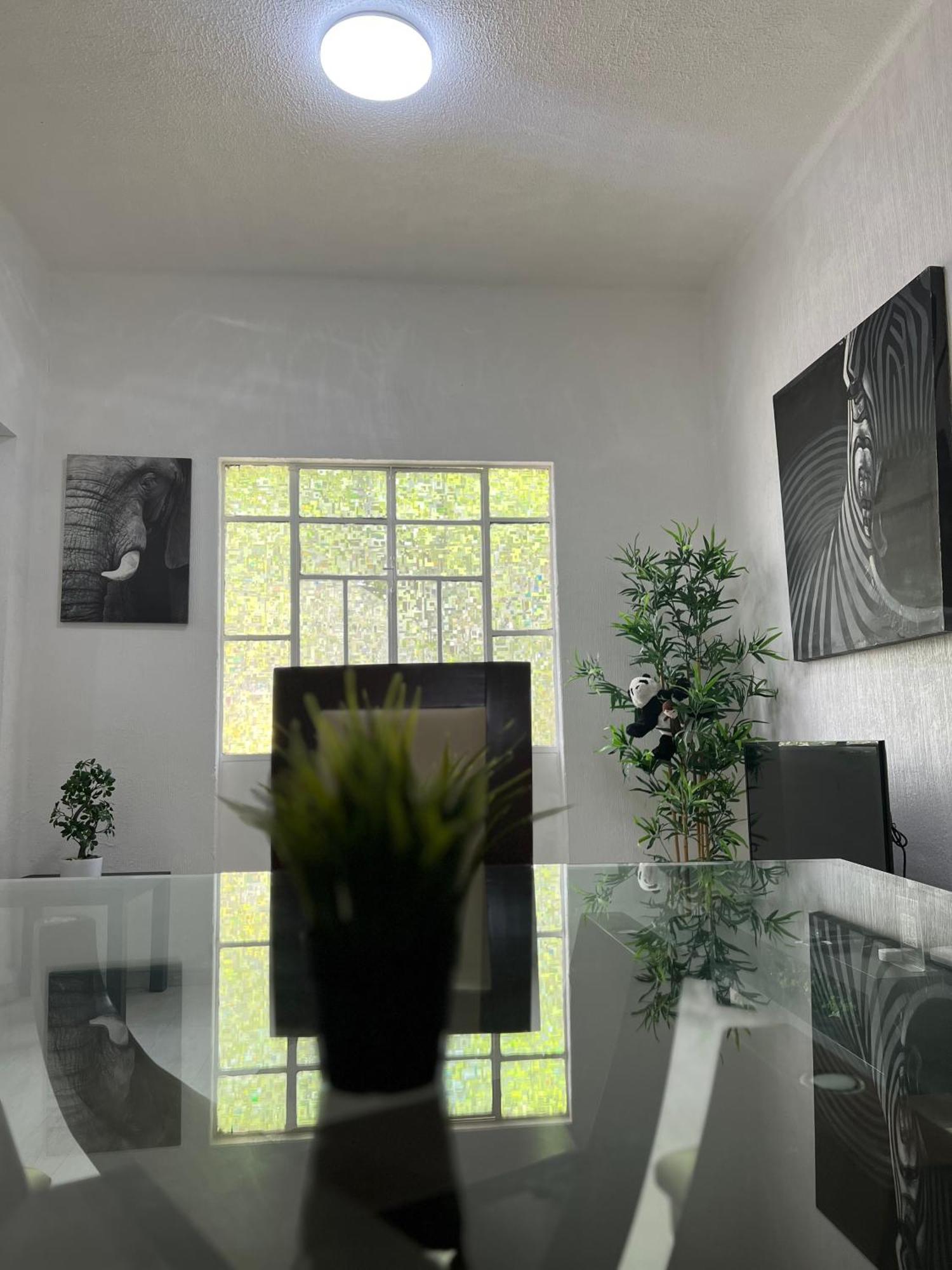 Appartement Impecable Depto En La Roma Mexico-stad